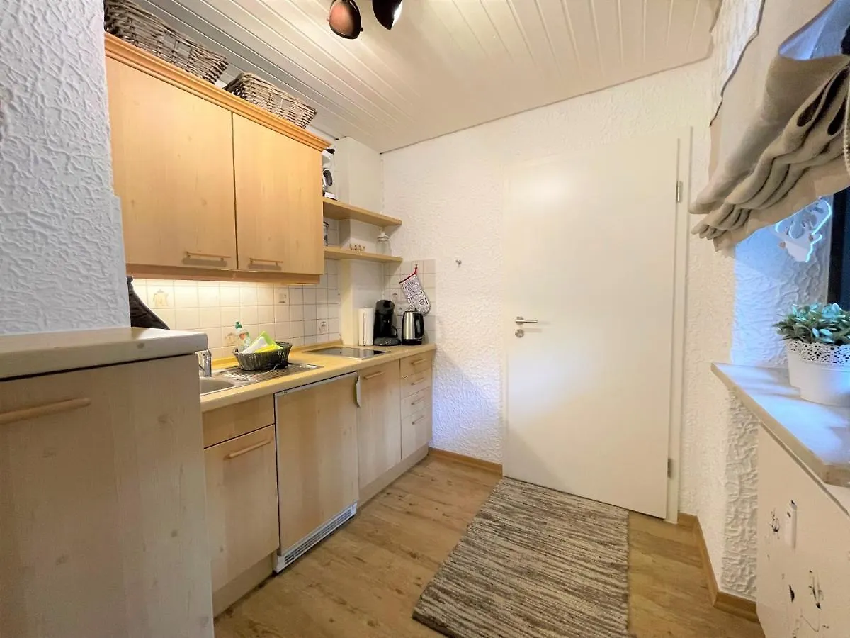 Allgauer Appartementhaus Pfronten Apartmán