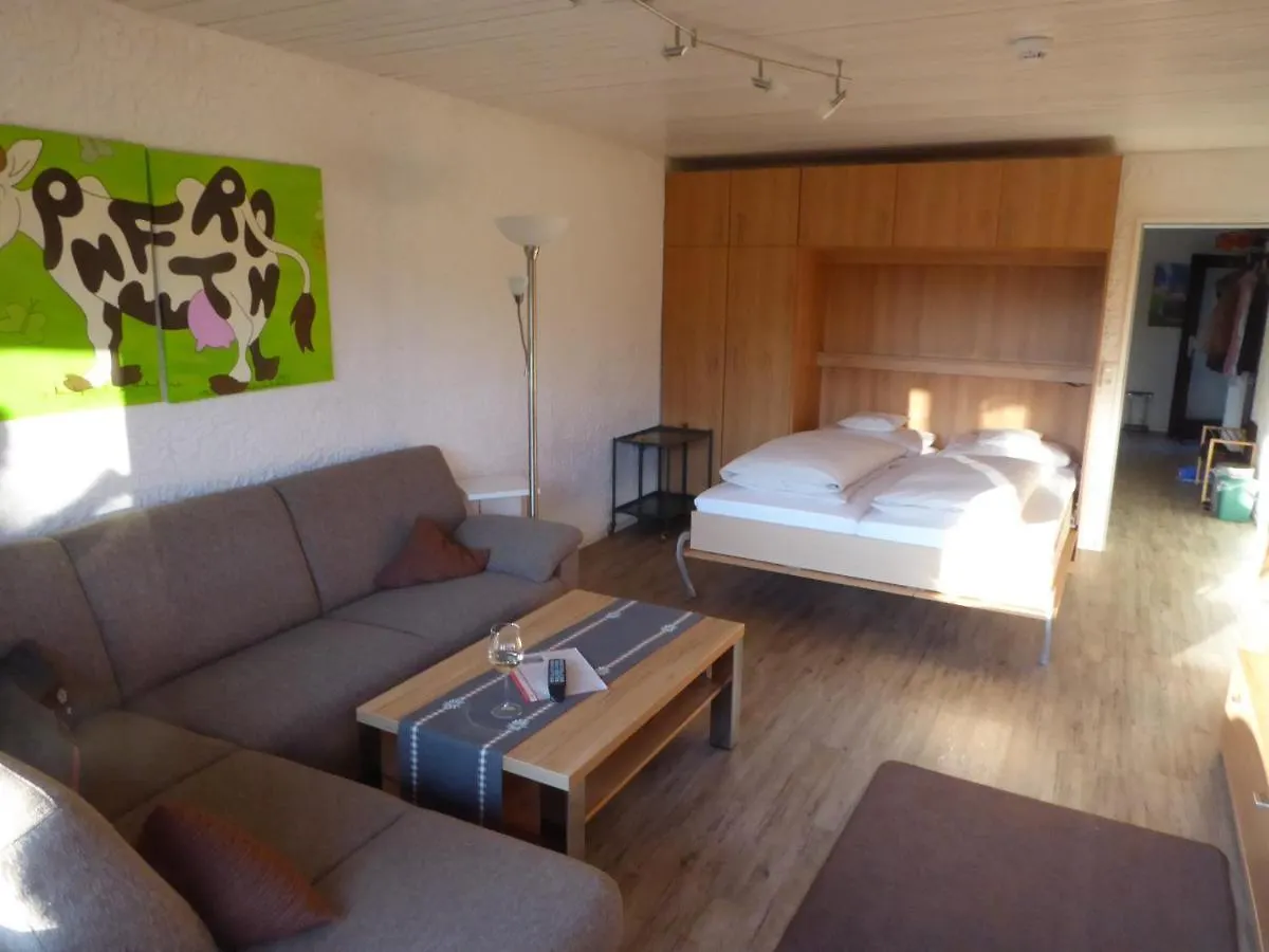 Apartmán Allgauer Appartementhaus Pfronten Německo